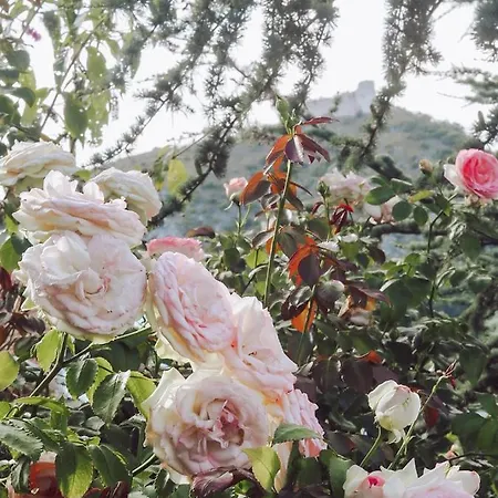 Tatil Evi Chaloupka Palava *