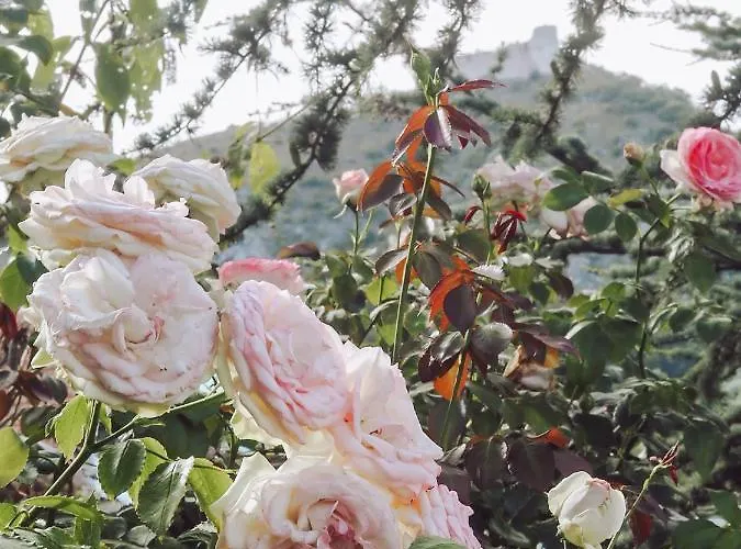 Nyaraló Chaloupka Pálava *